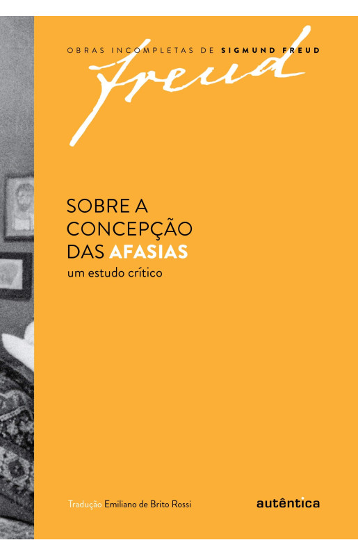 Sobre a concepção das afasias