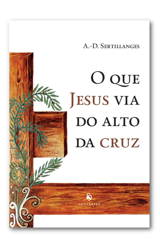 O que Jesus via do alto da cruz